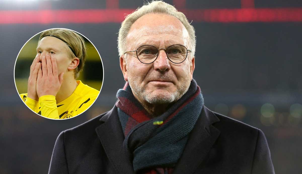 案例分析 案例分析