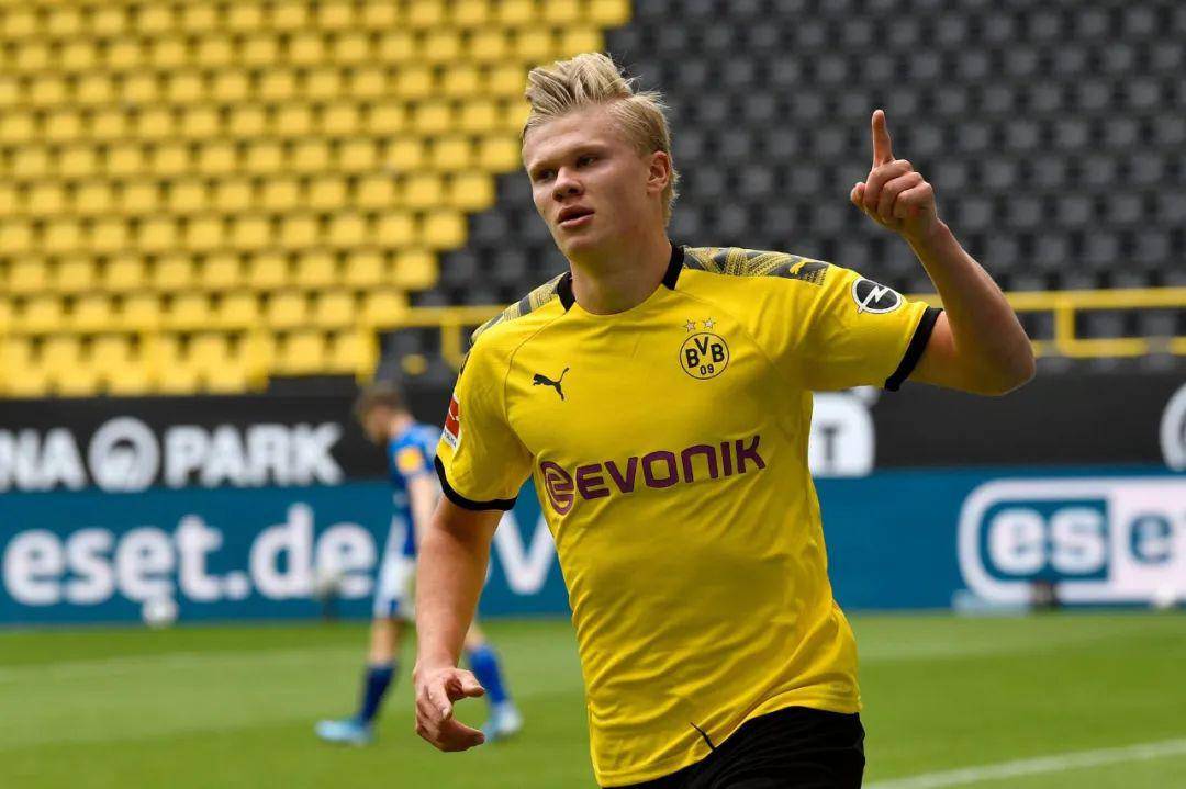 锋与大龙逼 锋与大龙逼